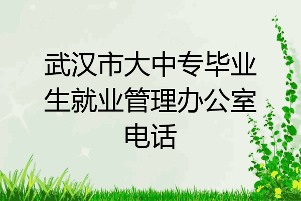 武汉市大中专毕业生就业管理办公室电话