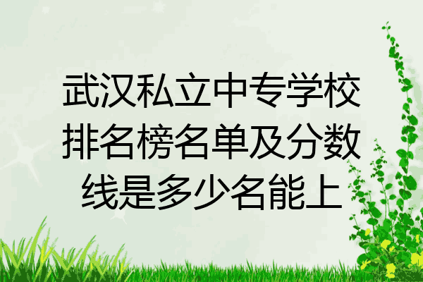 武汉私立中专学校排名榜名单及分数线是多少名能上