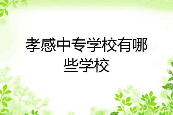 孝感中专学校有哪些学校