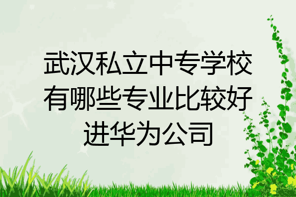 武汉私立中专学校有哪些专业比较好进华为公司