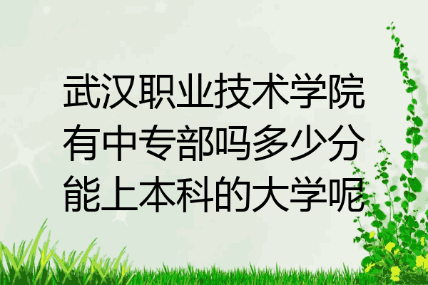 武汉职业技术学院有中专部吗多少分能上本科的大学呢