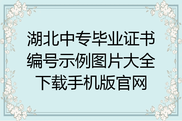 湖北中专毕业证书编号示例图片大全下载手机版官网