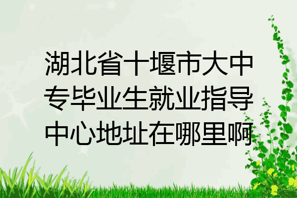 湖北省十堰市大中专毕业生就业指导中心地址在哪里啊