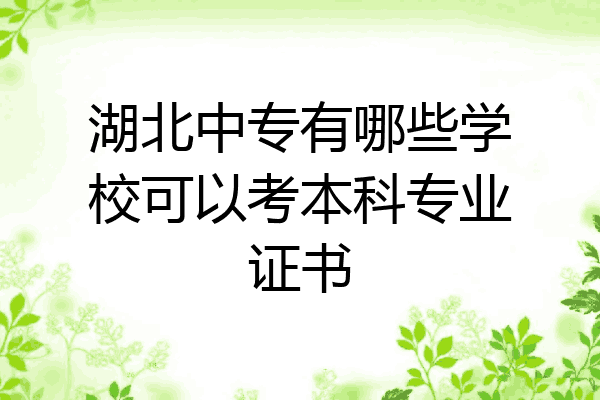 湖北中专有哪些学校可以考本科专业证书