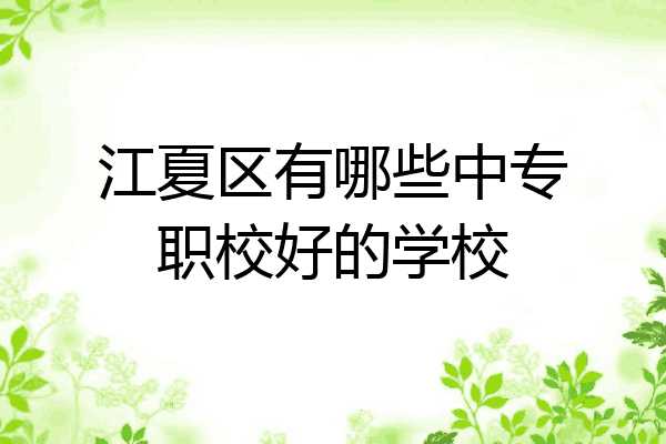 江夏区有哪些中专职校好的学校