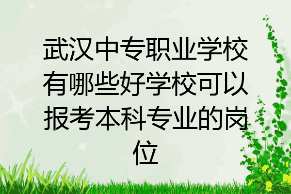 武汉中专职业学校有哪些好学校可以报考本科专业的岗位