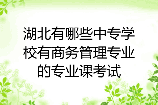 湖北有哪些中专学校有商务管理专业的专业课考试