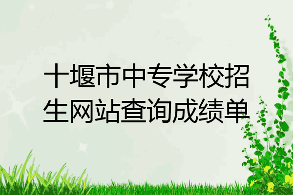 十堰市中专学校招生网站查询成绩单