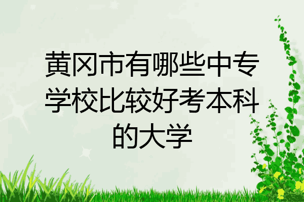 黄冈市有哪些中专学校比较好考本科的大学