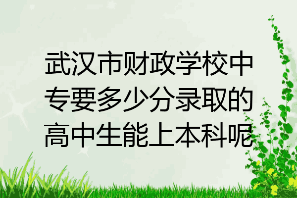 武汉市财政学校中专要多少分录取的高中生能上本科呢