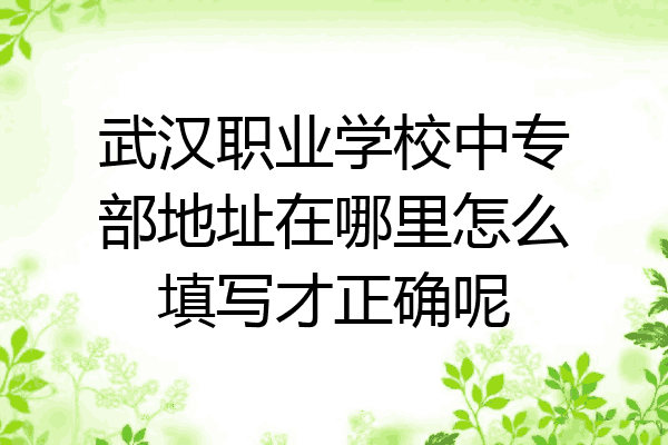 武汉职业学校中专部地址在哪里怎么填写才正确呢
