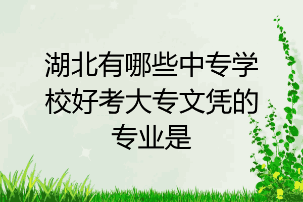 湖北有哪些中专学校好考大专文凭的专业是