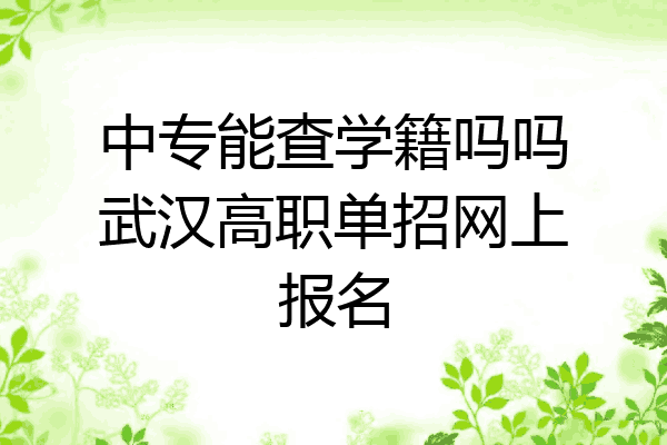 中专能查学籍吗吗武汉高职单招网上报名