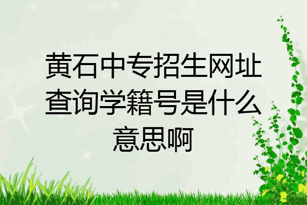 黄石中专招生网址查询学籍号是什么意思啊