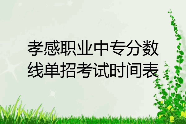 孝感职业中专分数线单招考试时间表