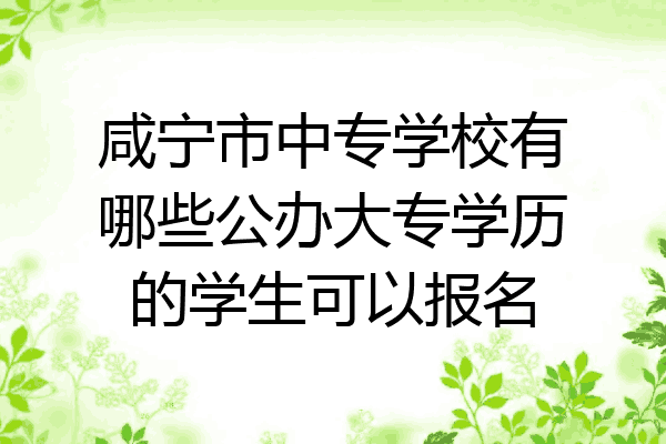 咸宁市中专学校有哪些公办大专学历的学生可以报名