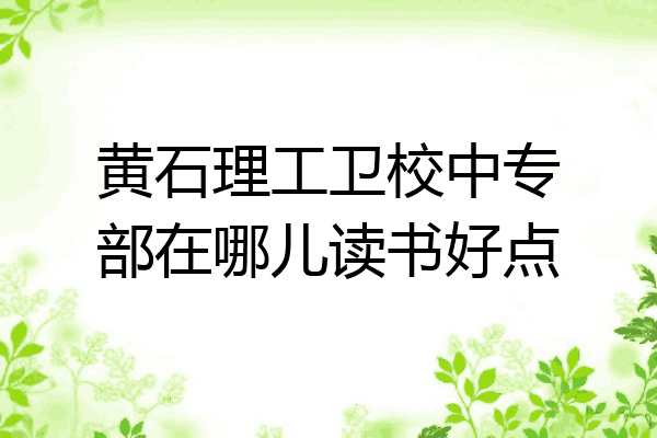 黄石理工卫校中专部在哪儿读书好点