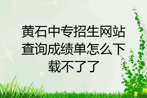 黄石中专招生网站查询成绩单怎么下载不了了