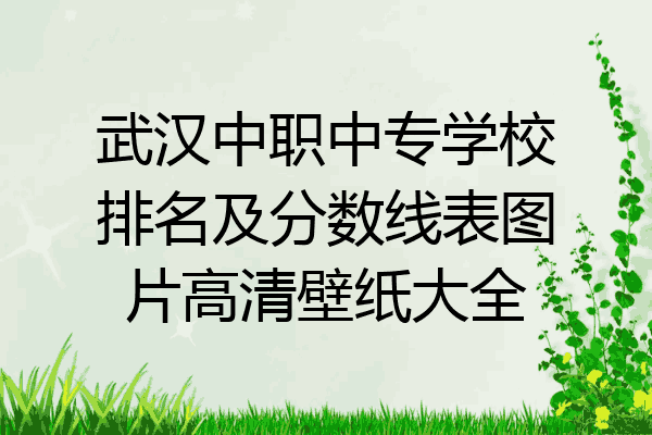 武汉中职中专学校排名及分数线表图片高清壁纸大全