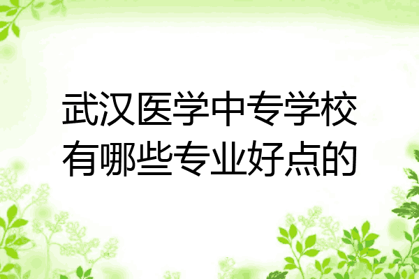 武汉医学中专学校有哪些专业好点的