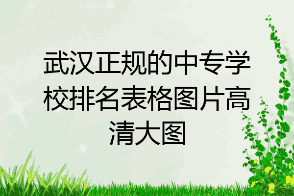 武汉正规的中专学校排名表格图片高清大图