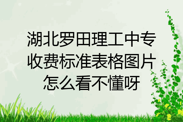 湖北罗田理工中专收费标准表格图片怎么看不懂呀
