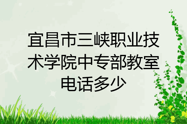 宜昌市三峡职业技术学院中专部教室电话多少