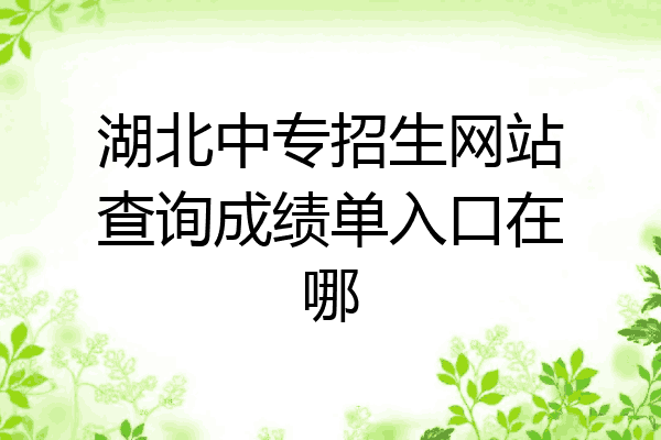 湖北中专招生网站查询成绩单入口在哪