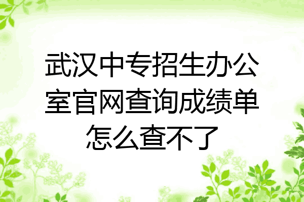 武汉中专招生办公室官网查询成绩单怎么查不了