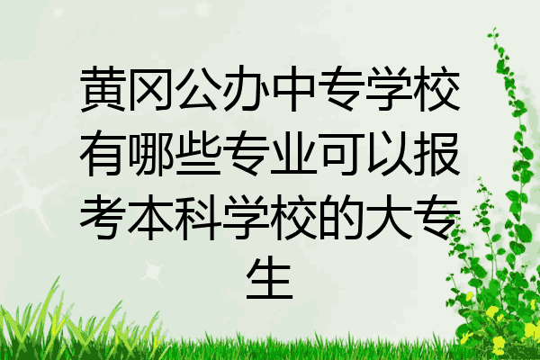 黄冈公办中专学校有哪些专业可以报考本科学校的大专生
