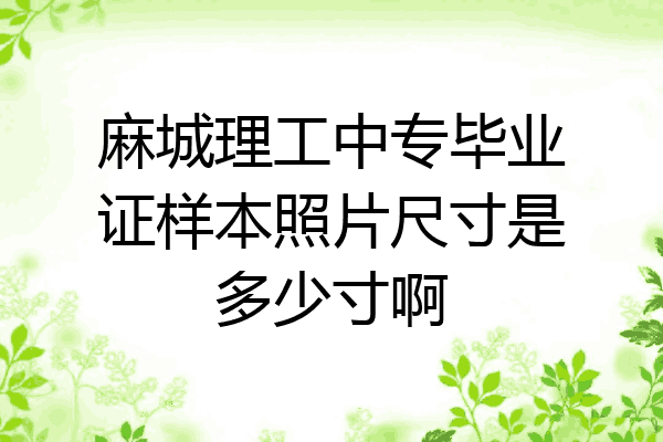 麻城理工中专毕业证样本照片尺寸是多少寸啊