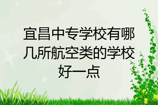 宜昌中专学校有哪几所航空类的学校好一点