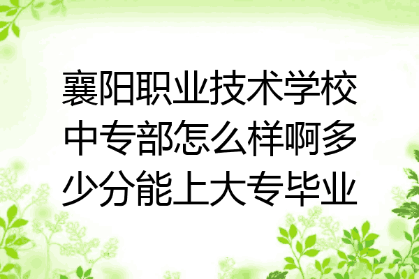 襄阳职业技术学校中专部怎么样啊多少分能上大专毕业
