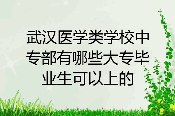 武汉医学类学校中专部有哪些大专毕业生可以上的