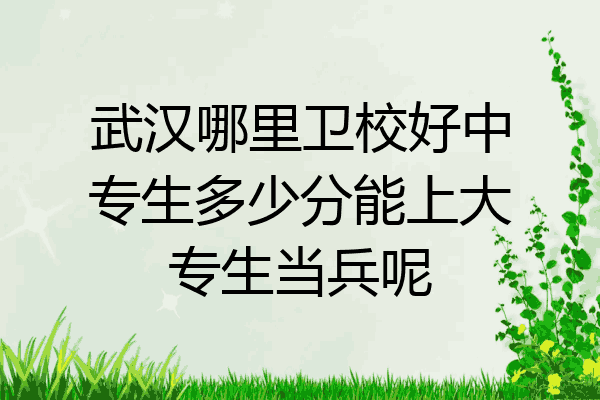 武汉哪里卫校好中专生多少分能上大专生当兵呢