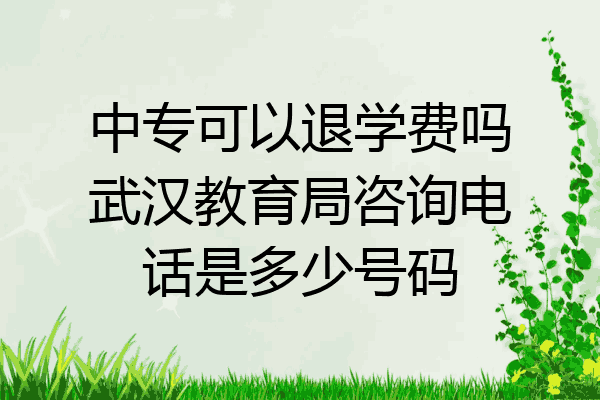 中专可以退学费吗武汉教育局咨询电话是多少号码