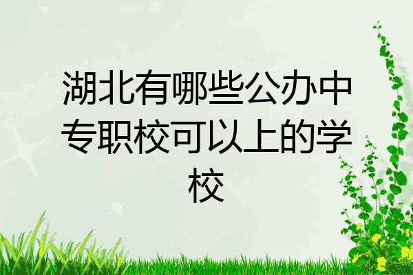 湖北有哪些公办中专职校可以上的学校