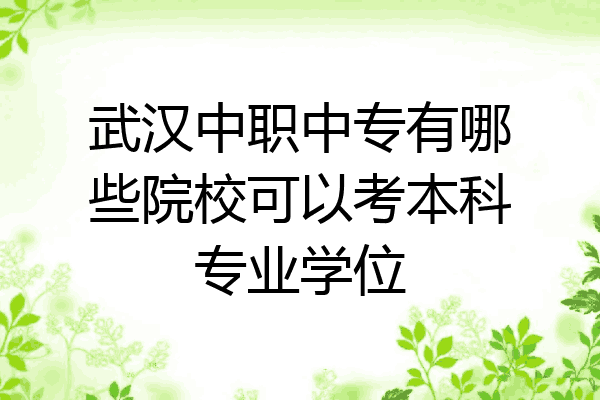 武汉中职中专有哪些院校可以考本科专业学位