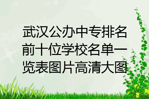 武汉公办中专排名前十位学校名单一览表图片高清大图