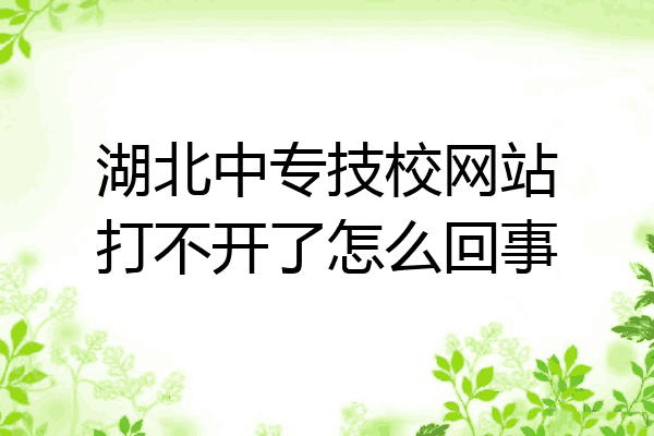 湖北中专技校网站打不开了怎么回事