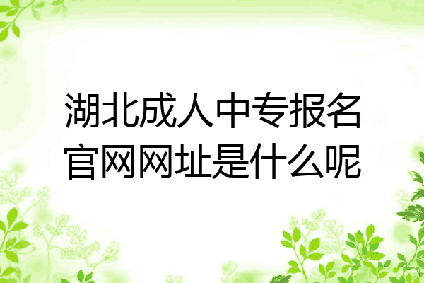 湖北成人中专报名官网网址是什么呢