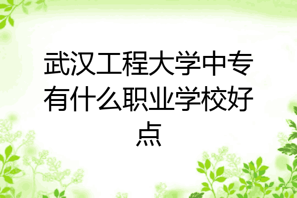 武汉工程大学中专有什么职业学校好点