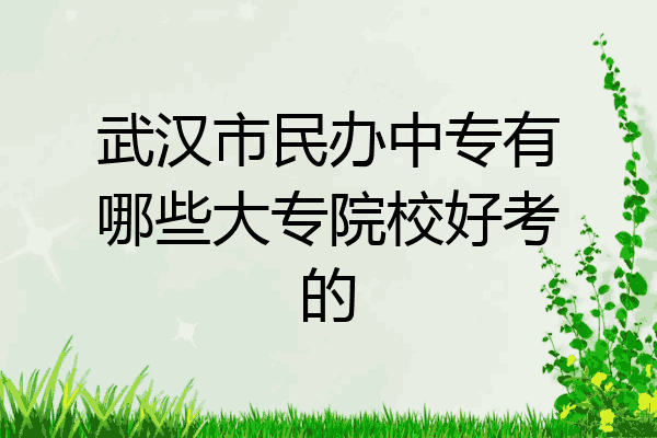 武汉市民办中专有哪些大专院校好考的