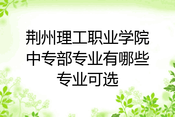 荆州理工职业学院中专部专业有哪些专业可选