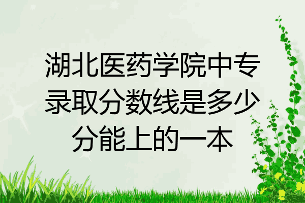 湖北医药学院中专录取分数线是多少分能上的一本