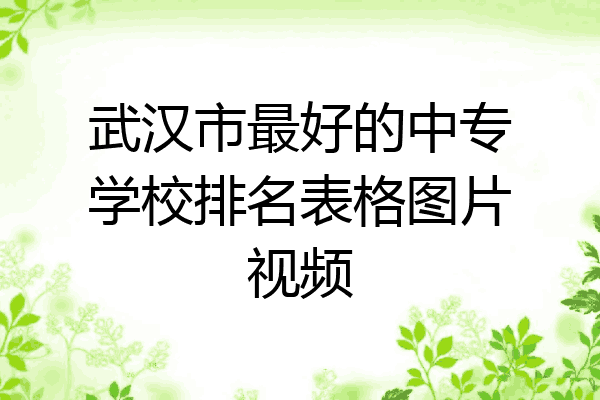 武汉市最好的中专学校排名表格图片视频