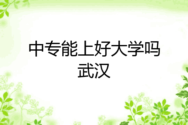 中专能上好大学吗武汉