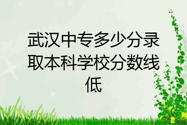 武汉中专多少分录取本科学校分数线低