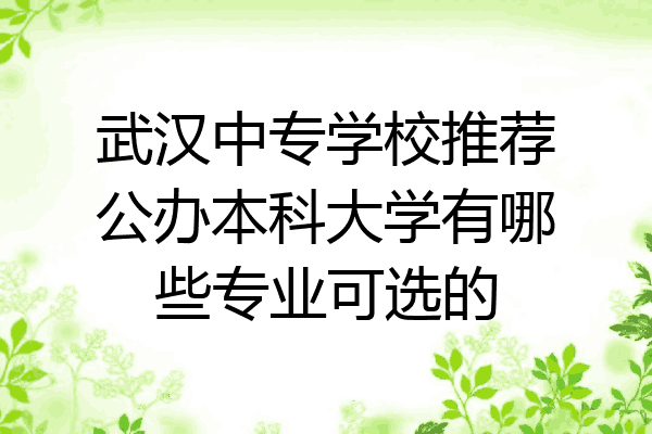 武汉中专学校推荐公办本科大学有哪些专业可选的