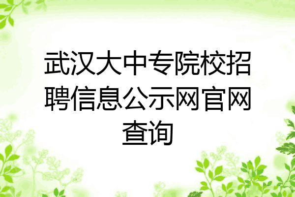 武汉大中专院校招聘信息公示网官网查询